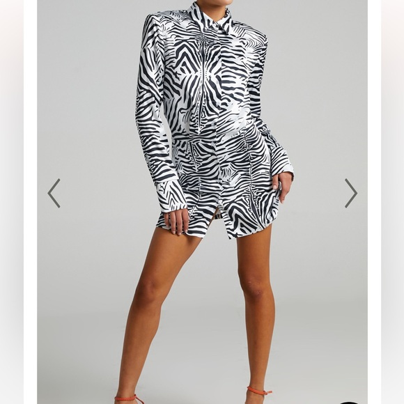 LIONESS - MIRROR IMAGE MINI DRESS IN ZEBRA - Picture 10 of 14
